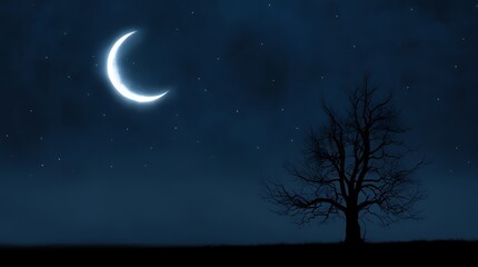 Fototapeta premium Mystical Night Scene with Crescent Moon and Silhouette Tree for Business Use