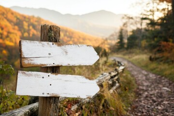 Naklejka premium A rustic yield sign created from recycled pallet wood, positioned along a forested trail with dappled sunlight