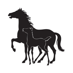 Mare with foal black silhouette horse on white background, vector