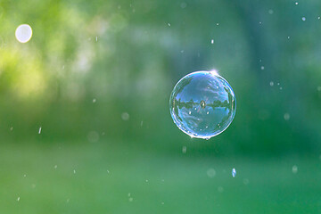 Close-up of a transparent Soap bubble floating mid air in a garden