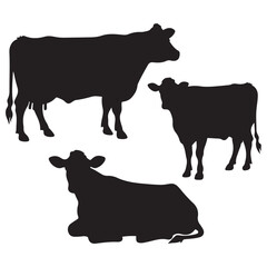 Set of Texas longhorn cow silhouettes in various poses. isolated vector on white background.