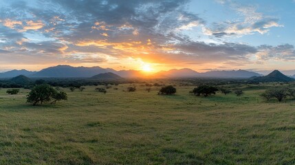 Naklejka premium Golden sun setting over a vast green grassy valley with scattered trees and a distant mountain range under a dramatic cloudy sky.