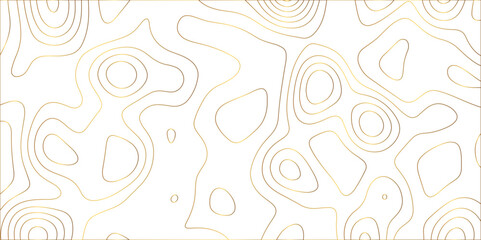 Abstract topographic contours map background, White wave paper curved reliefs abstract background. geographic line map Modern design with White with topographic wavy pattern design.	