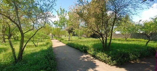 Fototapeta premium footpath in the park