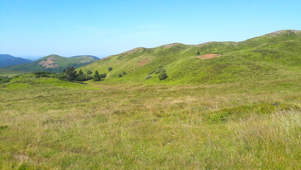 Obraz premium Prairie en montagne lors d'une belle journée d'été