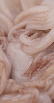 Ricetta Calamari
