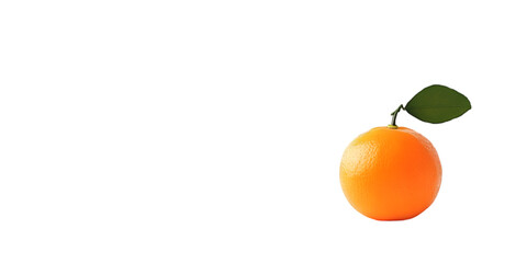 Assorted Edible Food Items Isolated on Transparent White Background