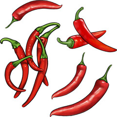Red chili pattern illustration on Transparent background