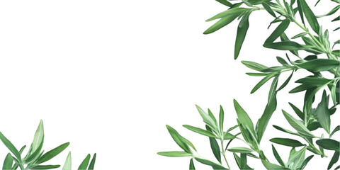 Assorted Edible Food Items Isolated on Transparent White Background