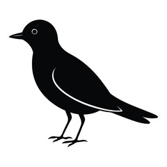 Discover high-quality lark bird vector silhouettes, perfect for nature-themed projects, wildlife illustrations, and creative designs.