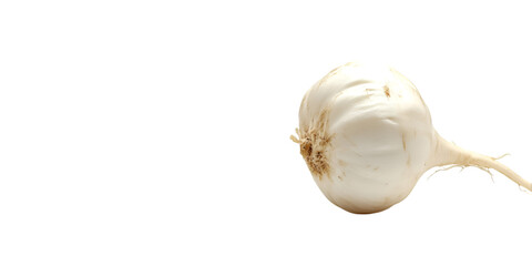 Assorted Edible Food Items Isolated on Transparent White Background