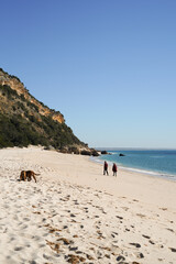 Couple is walking on a beach with their dog. The dog is sniffing the sand. The beach is empty and the sky is clear. Portinho da Arr&aacute;bida beach, Set&uacute;bal, Portugal.