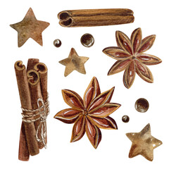 Watercolor set of cinnamon sticks, anises, coffee bubbles and stars. Can be used separately or in a common composition
