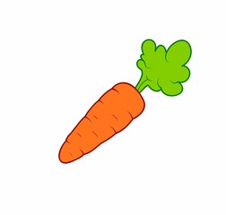 Carrot with Greens Attached on White.carrot vegetable icon
