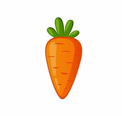 Carrot with Greens Attached on White.carrot vegetable icon