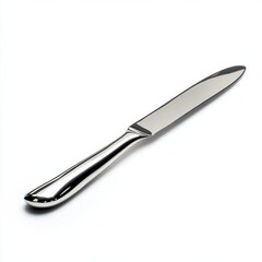 Shiny silver cheese knife with a pointed tip on a clean white surface