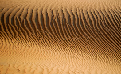Sunlit Desert Sand Dunes with Intricate Ripple Patterns