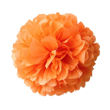 An orange tissue paper flower on transparent background