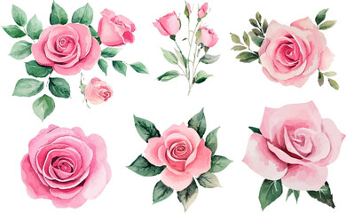 pattern with pink roses