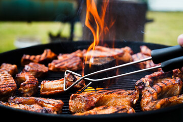 grilled meat on the grill