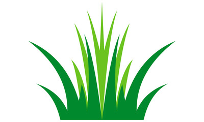 green grass vector design