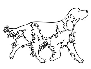 Spaniel Dog Full Body Running Side View Isolated Vector Line Art