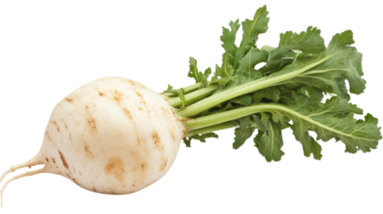 Rutabaga