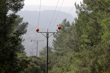 Electrical wires that carry high voltage current.