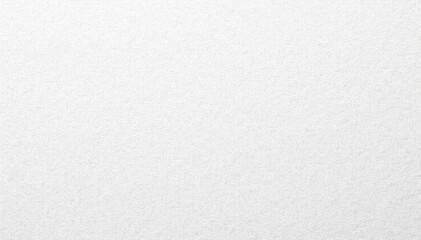 Even, faintly grainy white paper texture Subtle fibrous pattern visible , texture, copy space