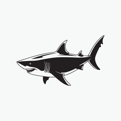 Angry shark silhouette Drawing illustration 