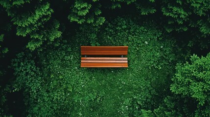 Aerial view park bench in green forest