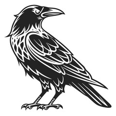 Fototapeta premium crow logo, black outline vector graphic transparent background 