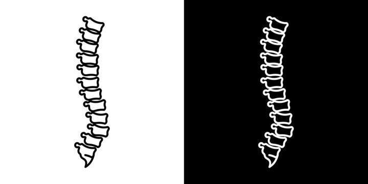 Spine Model Vector Spine Vector