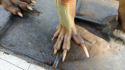 Dinosaur leg mockups showcase detailed craftsmanship in a natural history museum exhibit