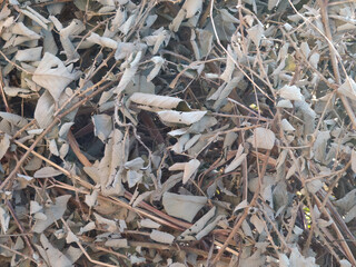 Texture of dry dead grey leaves on the ground, backdrop wallpaper