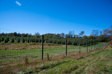 Obraz premium fall in Virginia