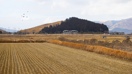 the field near Aso city ,a vast grassy plain with a  great views of the volcanically active...
