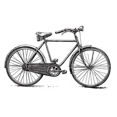 Vintage bicycle illustration, hand-drawn sketch.