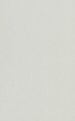 Minimalist White Background With Subtle Texture and Neutral Tone