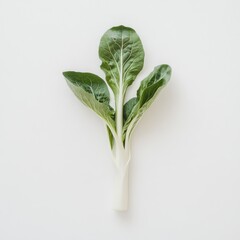 Fresh bok choy stalk with bright green leaves on a light background showcasing its vibrant color and crisp texture ideal for culinary use