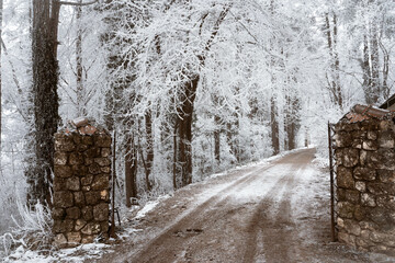 Snowy road and cold winter landscape - winter snow Fruška Gora Serbia