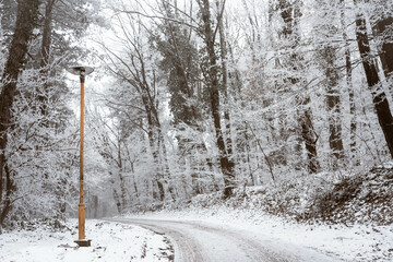 Snowy road and cold winter landscape - winter snow Fruška Gora Serbia
