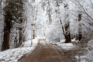Snowy road and cold winter landscape - winter snow Fruška Gora Serbia