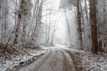 Snowy road and cold winter landscape - winter snow Fruška Gora Serbia