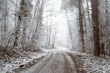 Snowy road and cold winter landscape - winter snow Fruška Gora Serbia