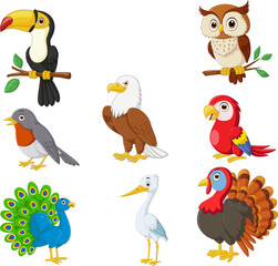 Fototapeta premium Illustration of cartoon bird collection set