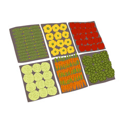 Vector Colorful Illustration of Vegetable Market Isolated on White Background