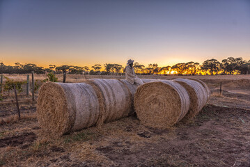 woman sitting on hay bales in the field at dusk
