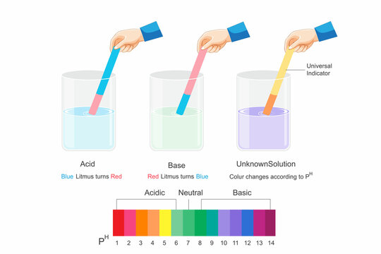 Universal Indicator Paper Graph Universal Indicator Example