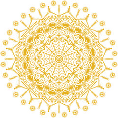Beautiful flower art and mandala vector design